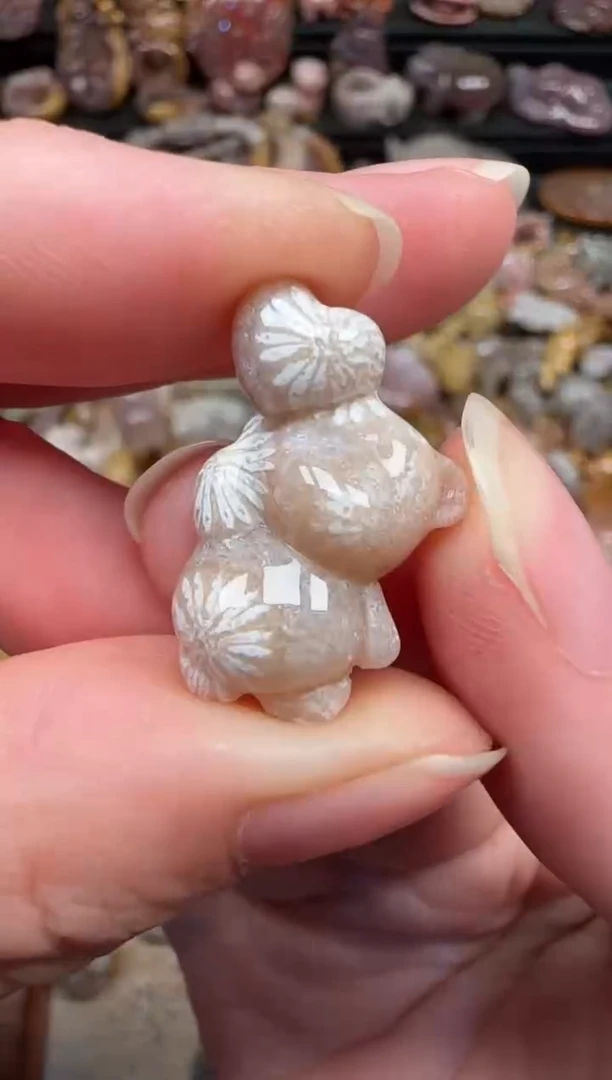 颈饰未镶嵌硅化珊瑚（珊瑚玉）147