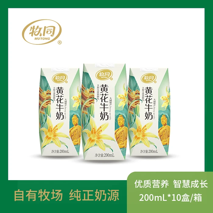 牧同黄花牛奶200ml30瓶3提儿童节日送礼营养全脂常温奶【8.23日期】