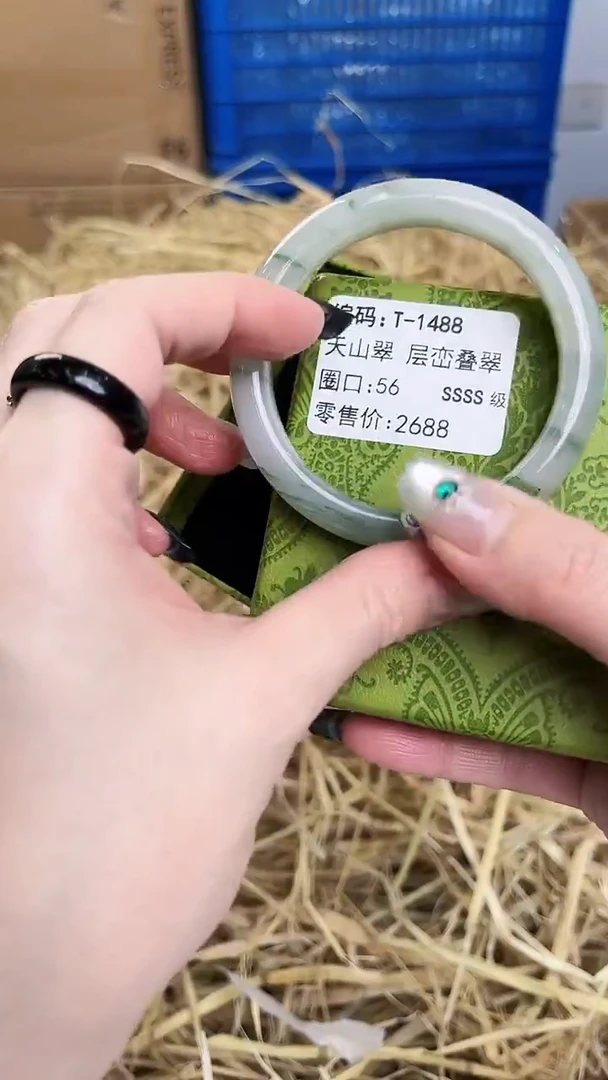 未镶嵌手镯石英质玉T-1488