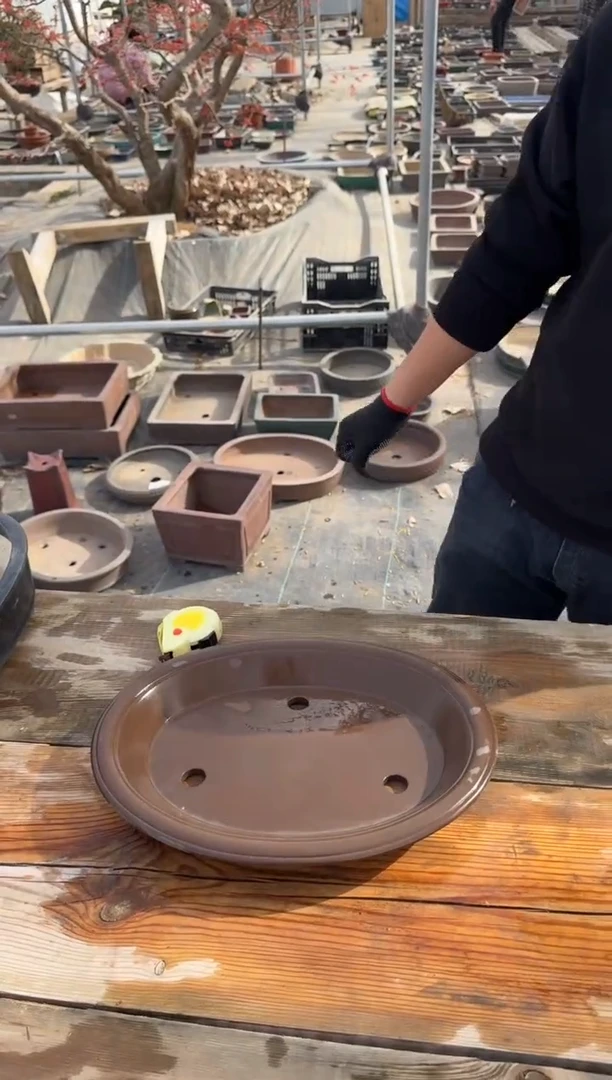 DD-14紫砂盆椭圆盆