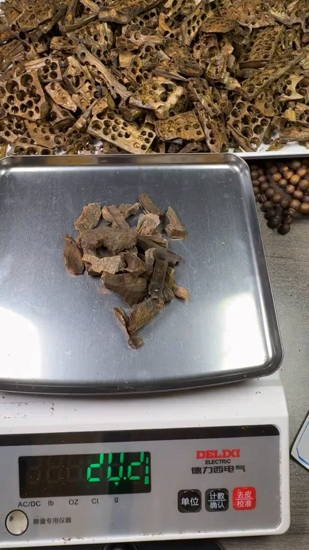 树脂制品沉水牛肉干壳20克