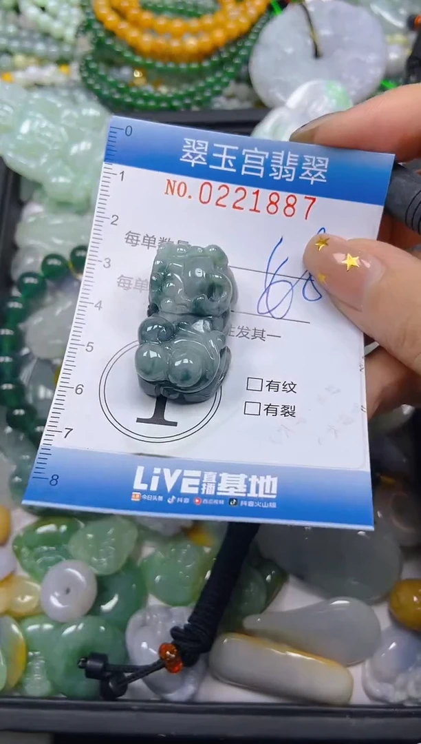 颈饰未镶嵌翡翠闪购C0221887