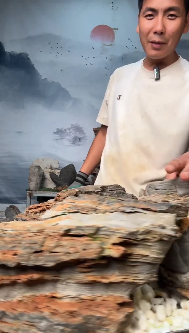 直播一物一拍链接