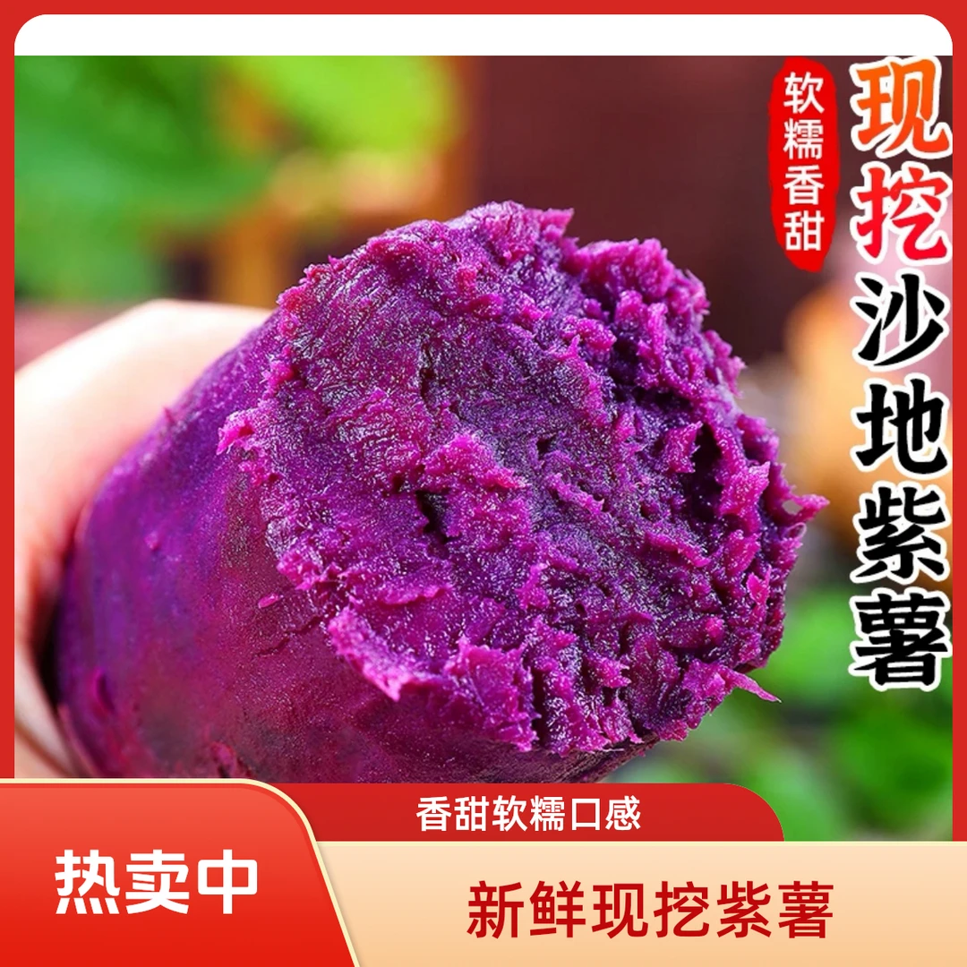 【沙地紫薯】新鲜红薯番薯地瓜香甜粉大中小果净重4.5斤（坏果包赔）