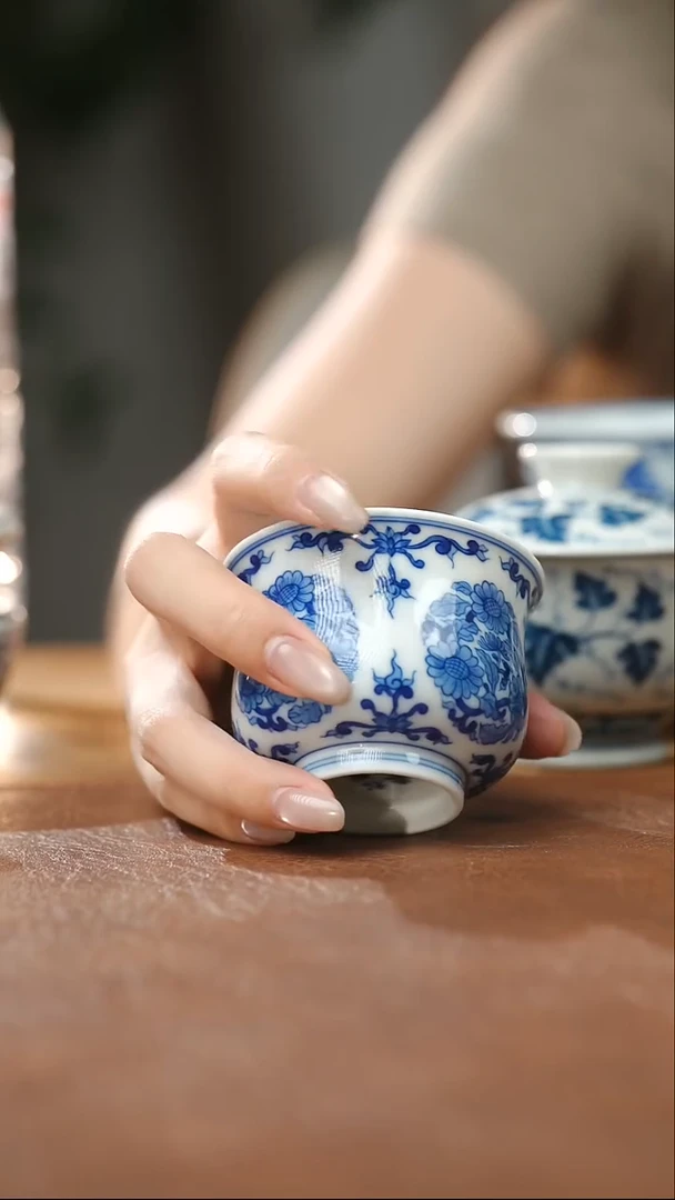 杯子团菊高如是75cc