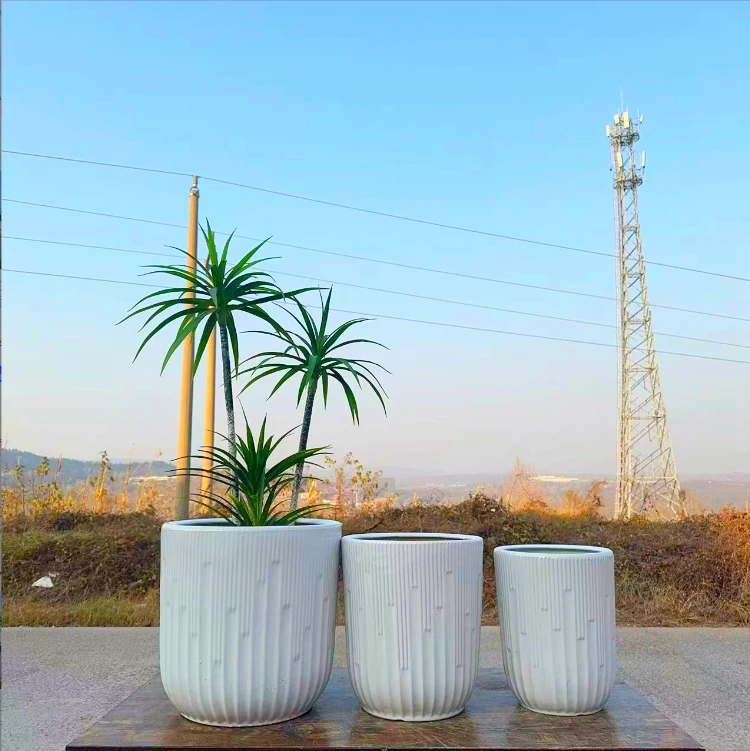 音符绿植百搭款幸福树千年木天堂鸟龙血树花盆高温陶瓷落地大花盆