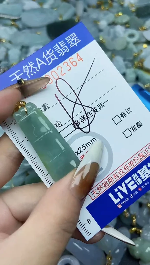 【闪购商品】翡翠颈饰未镶嵌天然A货翡翠