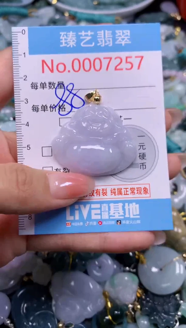 颈饰未镶嵌翡翠7257