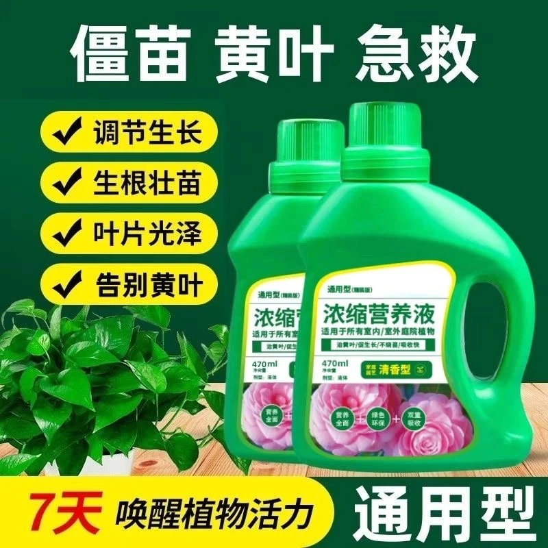 【拍一发三】营养液植物通用型花肥家用盆栽植物水培富贵竹绿萝花卉