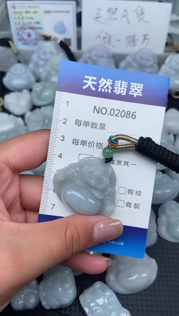 颈饰未镶嵌翡翠纯天然A货翡翠2086