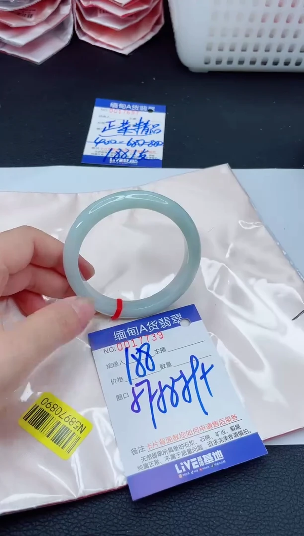 未镶嵌手镯翡翠我2