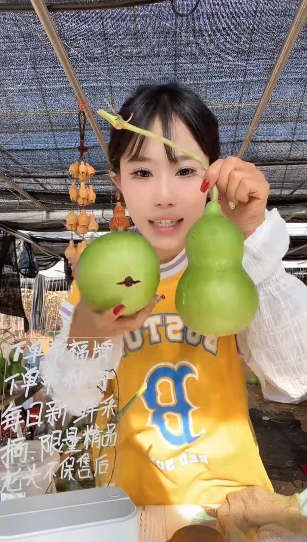 570天然葫芦摆件 一物一拍龙头不保售后