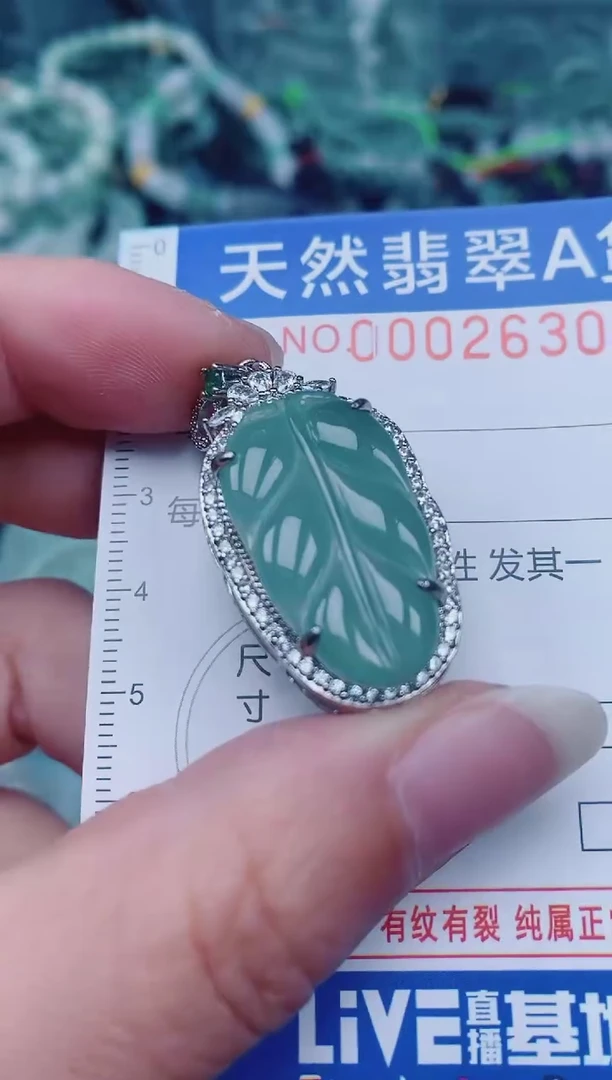 颈饰未镶嵌翡翠00002630
