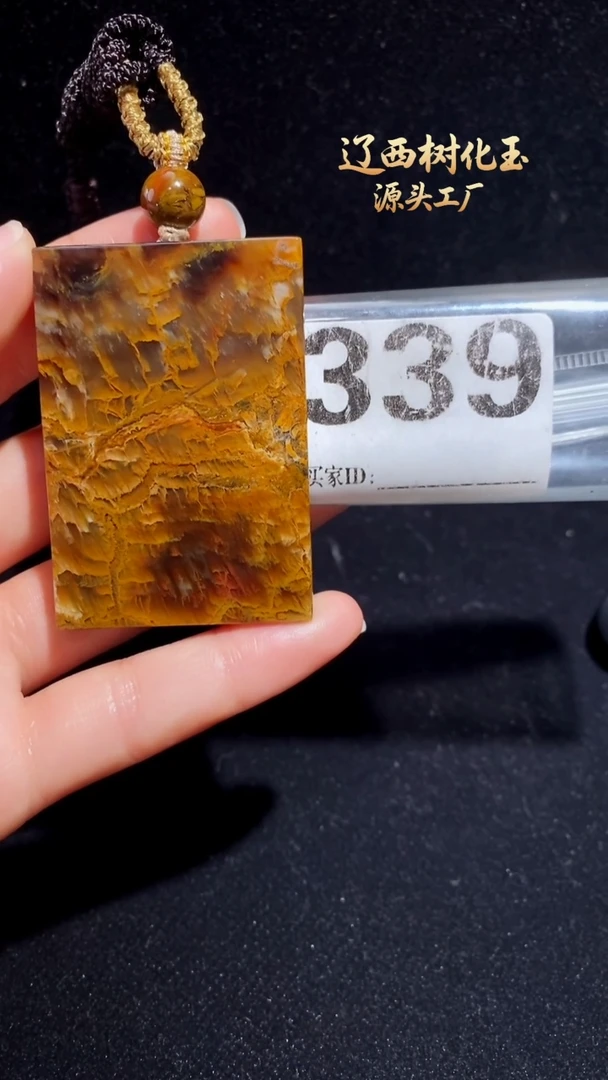 未镶嵌吊坠硅化玉天然北票硅化玉吊坠