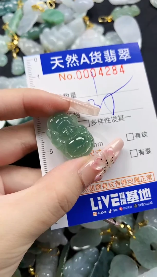 颈饰未镶嵌翡翠天然A货翡翠