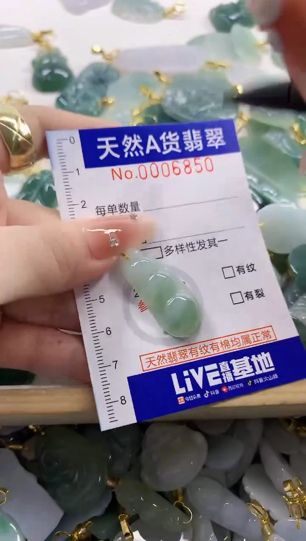 颈饰未镶嵌翡翠刘*天然A货翡翠