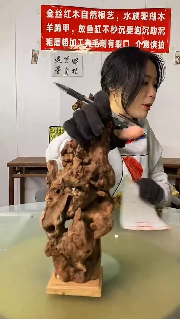 木D**告金丝红木  羊蹄甲