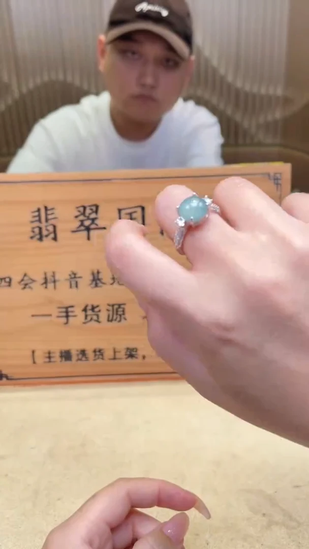 翡翠未镶嵌颈饰            *506