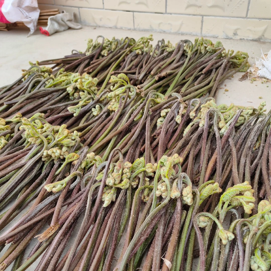 【顺丰温包】本地现摘野生蕨菜