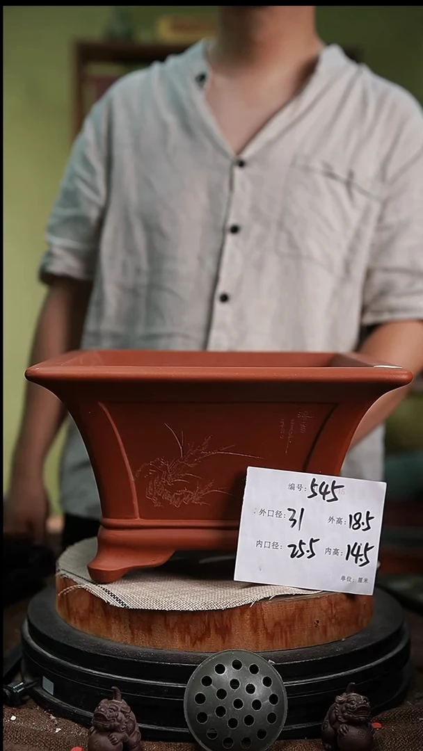 紫砂花盆花卉园艺545