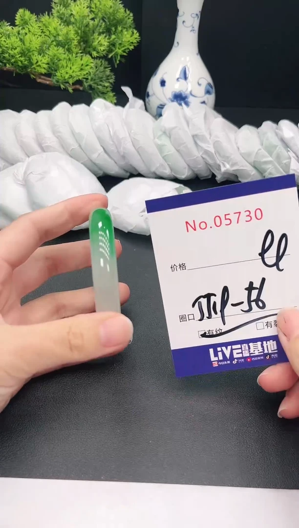 未镶嵌手镯翡翠5730