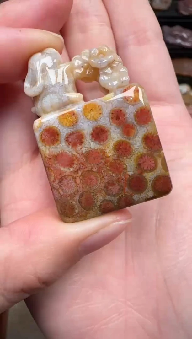 颈饰未镶嵌硅化珊瑚（珊瑚玉）351