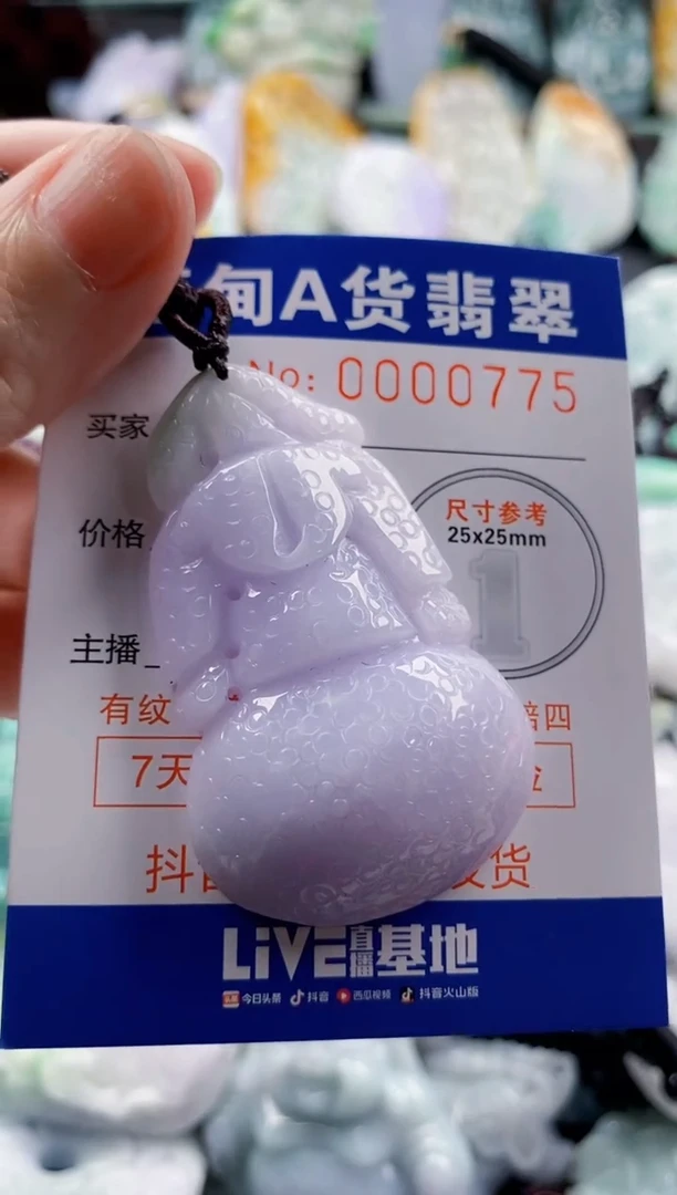 翡翠未镶嵌吊坠(不含链)1