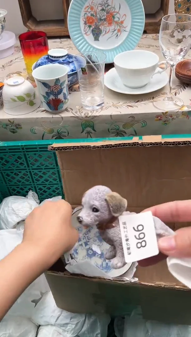 瓷片溜***了Q         866