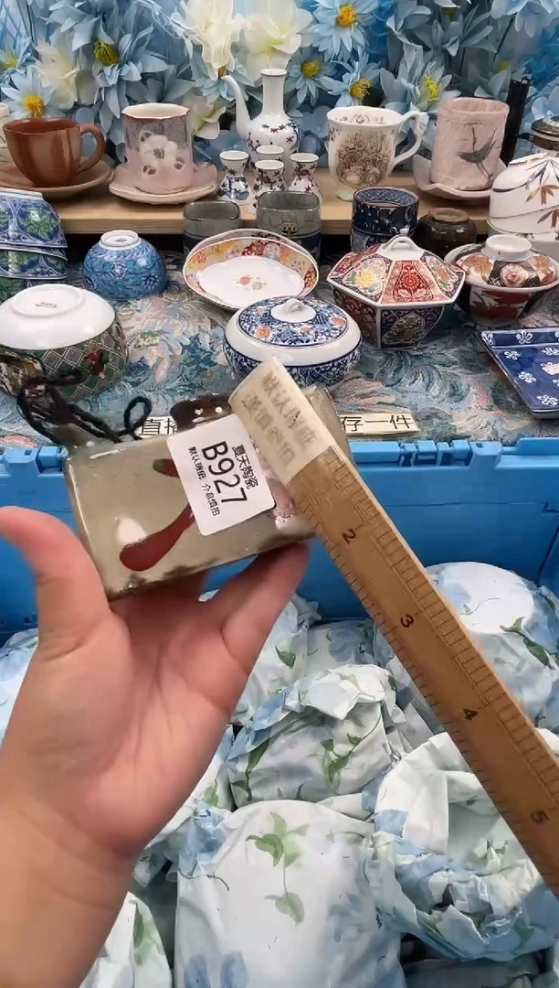 瓷片苏*洁927默认微瑕 闪购默认库存一件