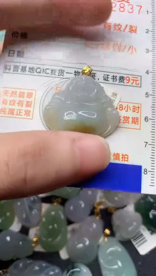【闪购商品】翡翠颈饰18K金镶嵌12........