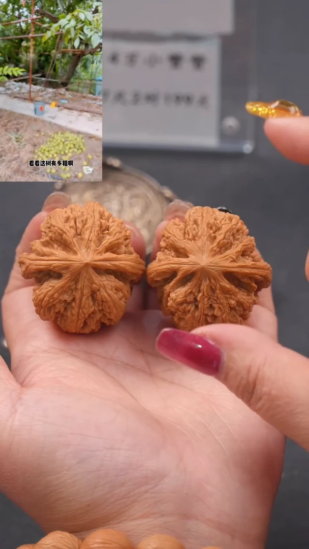 【闪购商品】文玩核桃吊坠39平谷粗筋