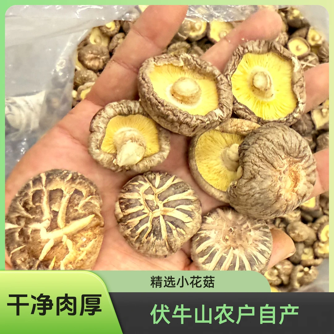2025干花菇茶花香菇（花菇无人工干预，自然形成）肉厚无杂净重发货