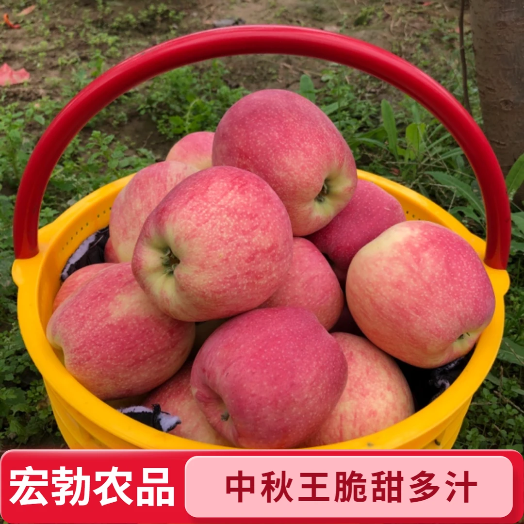 甘肃庆阳中秋王苹果脆甜多汁正宗产地直发新鲜果蔬优质农产品苹果