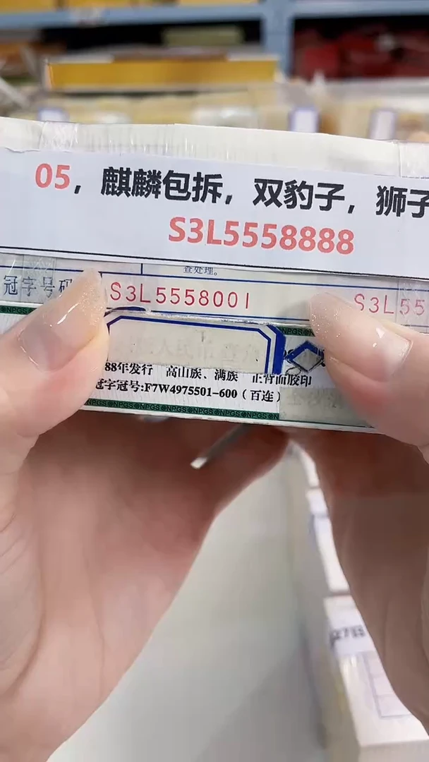 05，麒麟包拆，双豹子，狮子八，S3L5558888