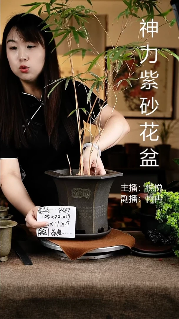 紫砂花盆花卉工艺8387+z微瑕