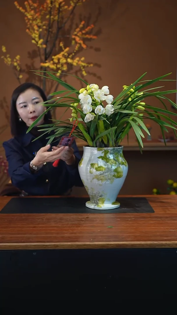 全部花朵玉兔盆景盆景盆景