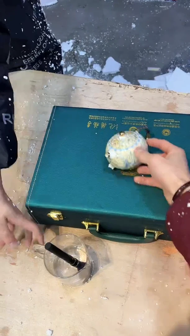 【闪购商品】其他@@@@@@@@@@@@@@@