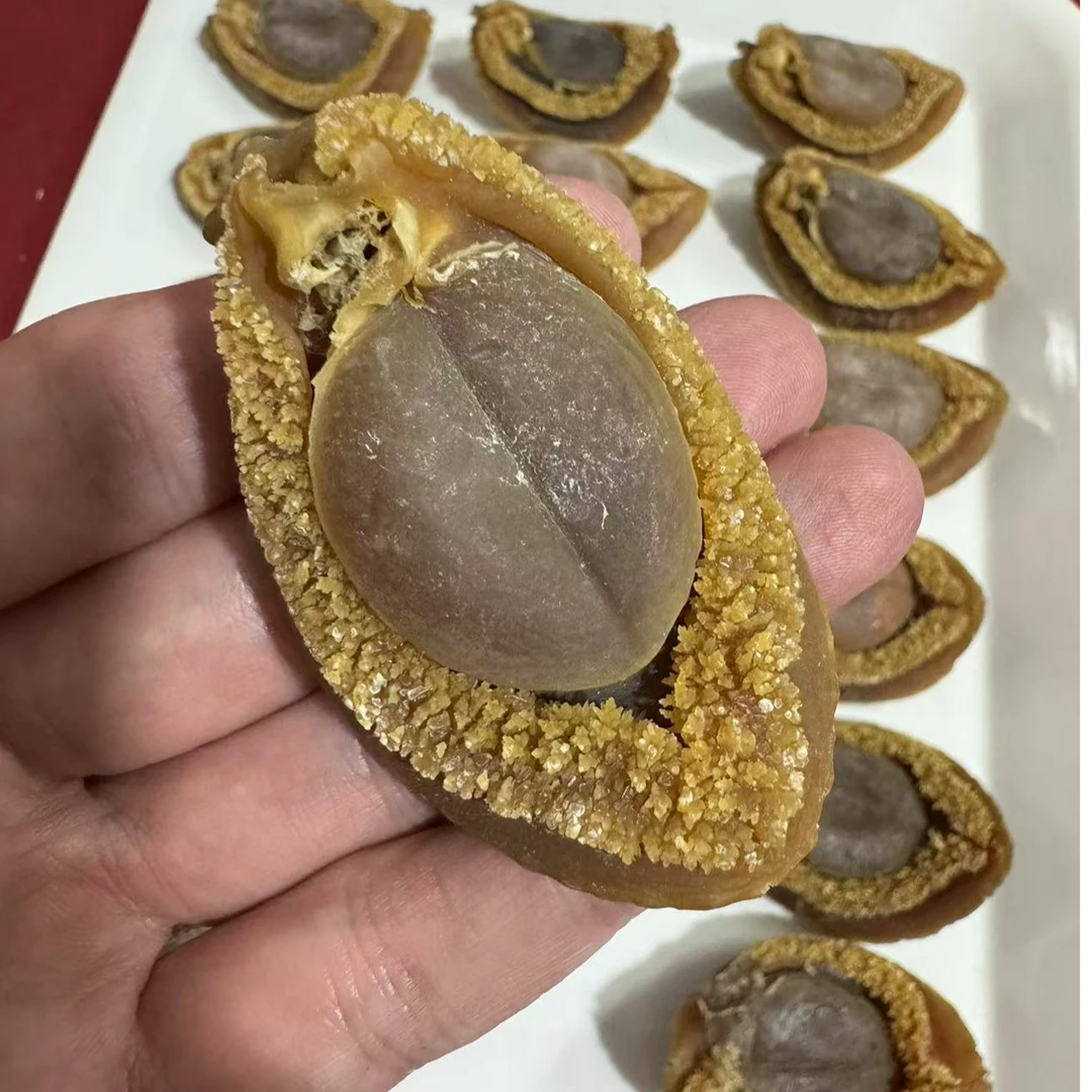 精选靓货 足干18头南非吉品鲍金边