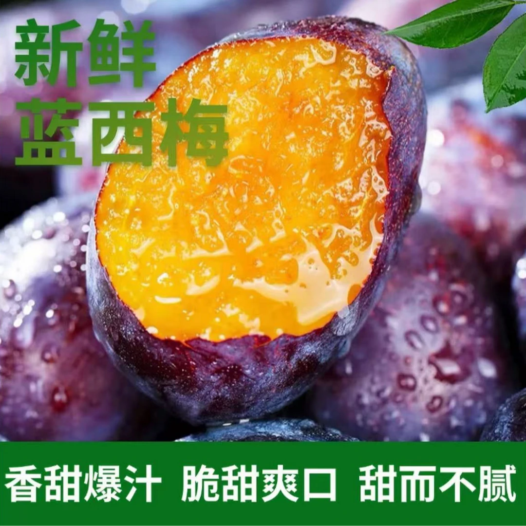 新鲜现摘大西梅鲜果正宗西梅西梅李酸甜可口
