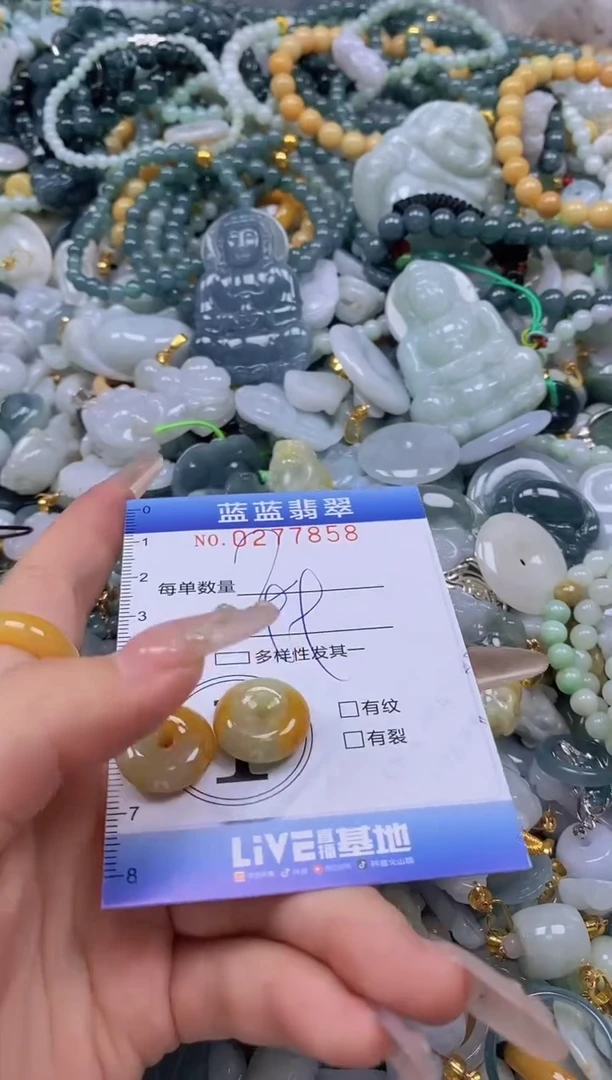 翡翠未镶嵌颈饰闪购0277858