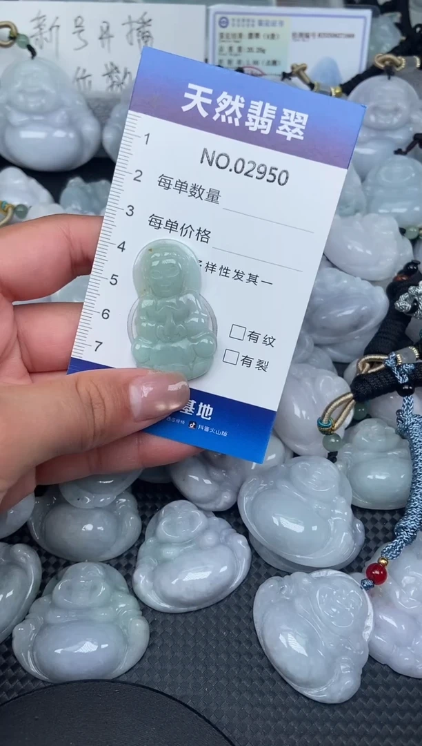 颈饰未镶嵌翡翠纯天然A货翡翠2950