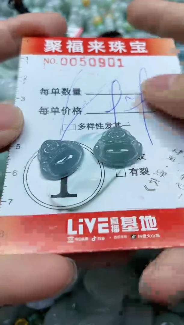 【闪购商品】翡翠颈饰未镶嵌闪购0050901多样性发其一
