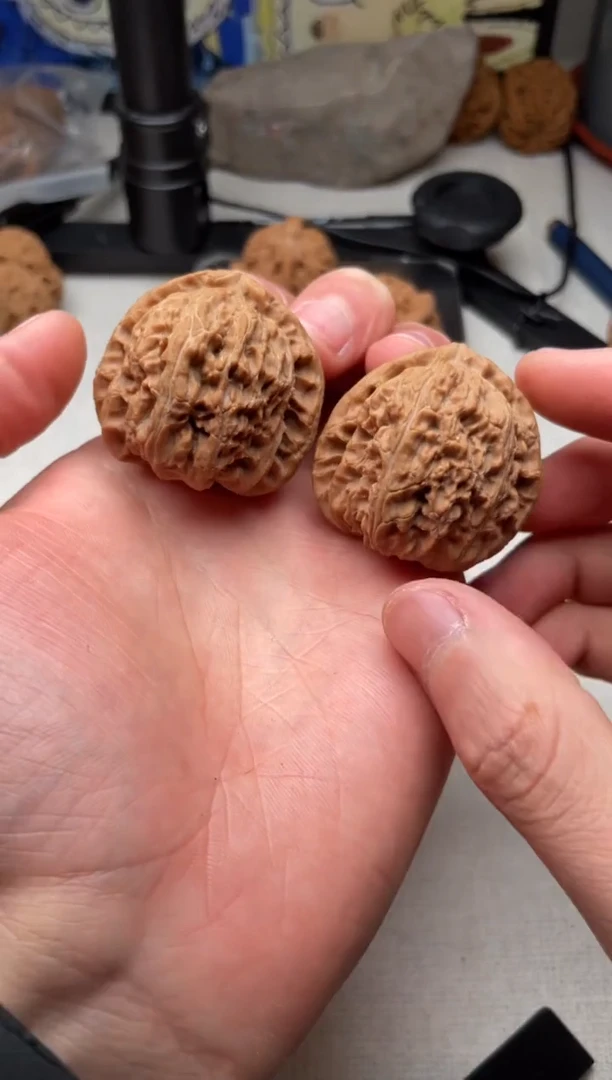 把件文玩核桃白狮子三角白