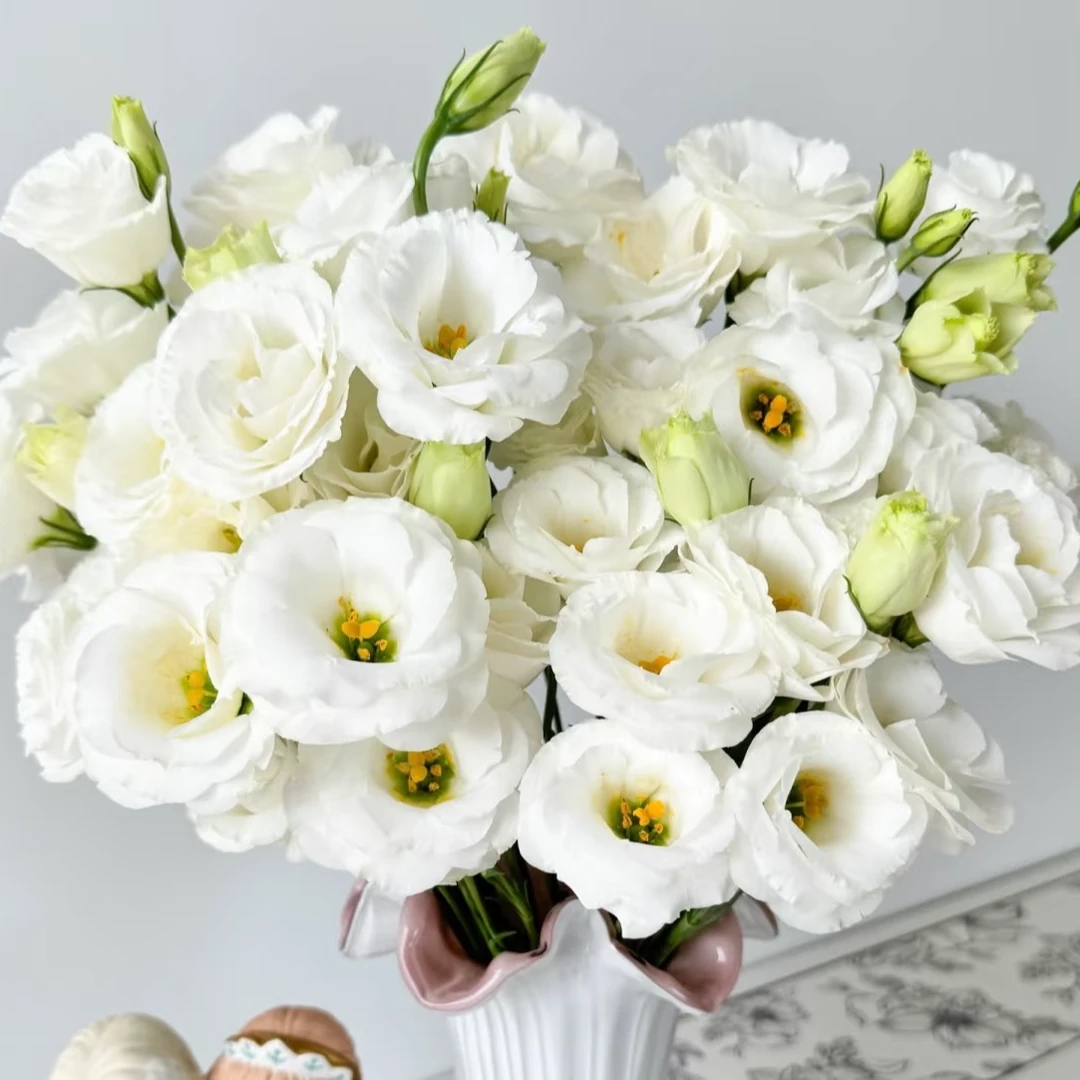 特价白色洋桔梗5扎玛格丽特