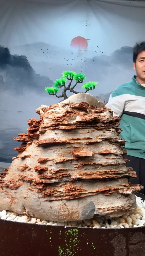 直播一物一拍链接