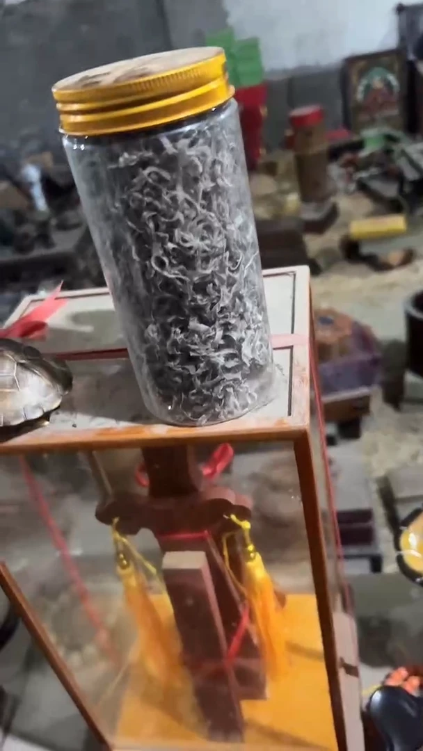 紫砂紫砂紫砂紫砂紫砂紫砂