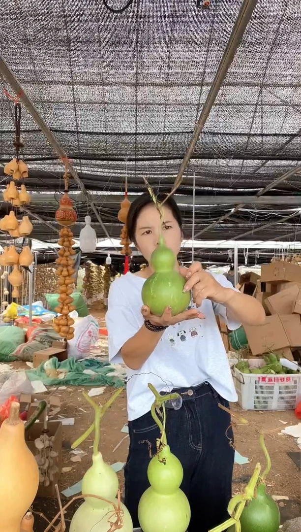 746天然葫芦摆件 一物一拍龙头不保售后