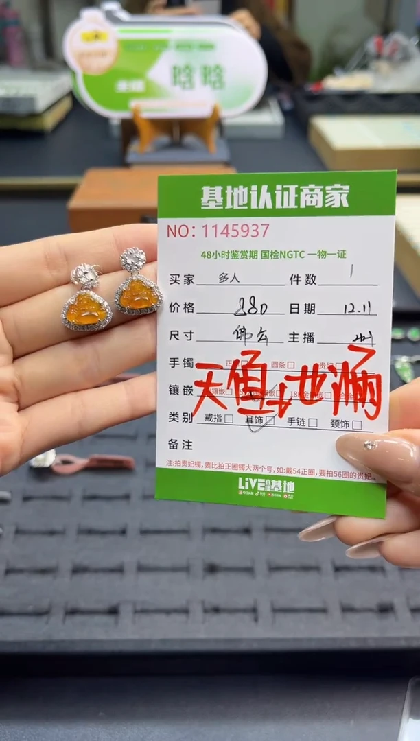 银S925镶嵌翡翠耳饰多人