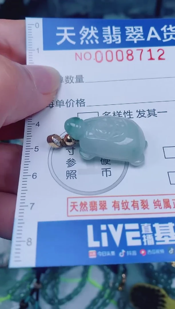 颈饰未镶嵌翡翠00008712