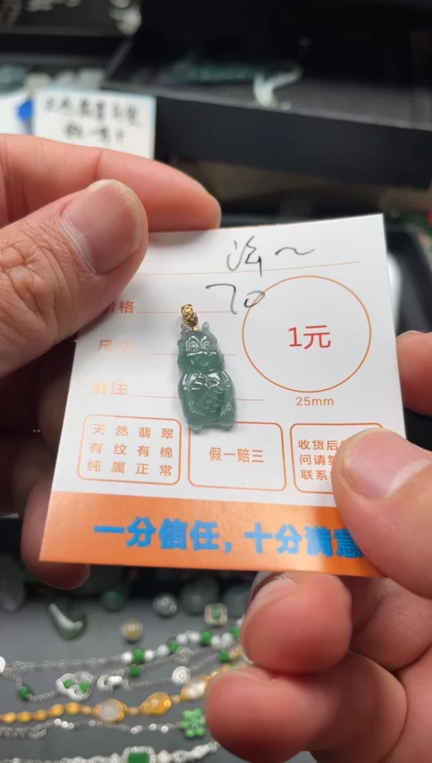 颈饰未镶嵌翡翠泽*挂件